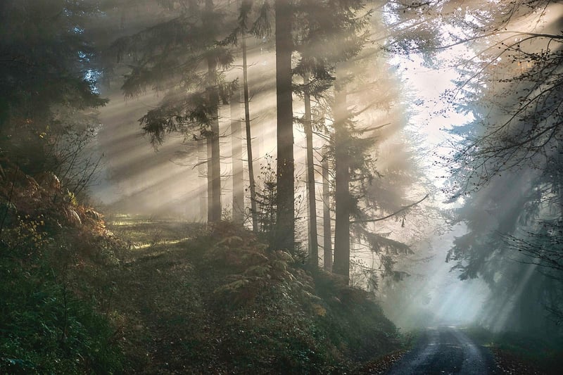 Mystical Elements